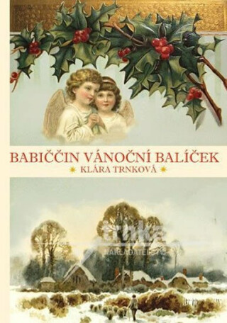 Babiččin vánoční balíček - Klára Trnková