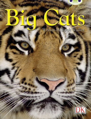 Bug Club Independent Non Fiction Year 3 Brown B Big Cats - Walker Sarah