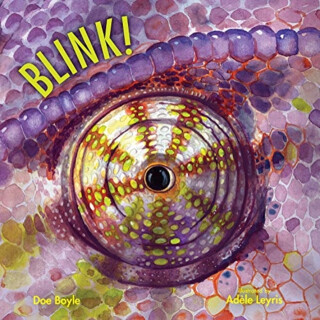 BLINK - DOE BOYLE
