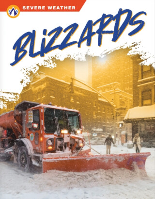 Blizzards - Sharon Dalgleish