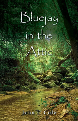 Bluejay in the Attic - John Coleman