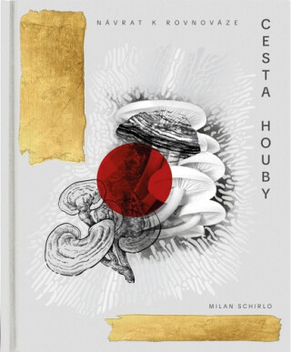 Cesta houby - Milan Schirlo