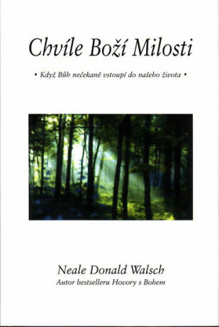 Chvíle Boží Milosti - Neale Donald Walsch
