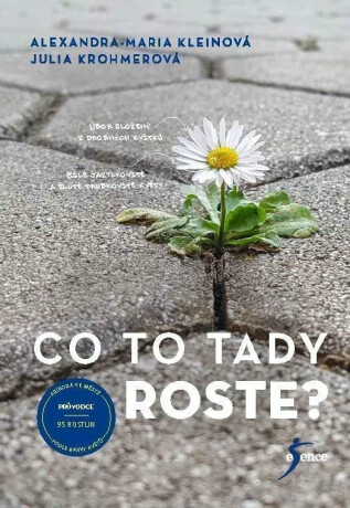 Co to tady roste? - Alexandra-Maria Kleinová,Julia Krohmerová