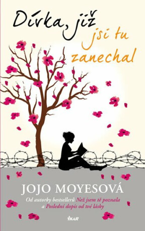 Dívka, již jsi tu zanechal - Jojo Moyes