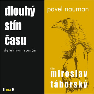 Dlouhý stín času - Pavel Nauman
