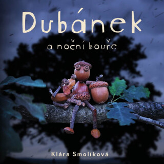 Dubánek a noční bouře - Klára Smolíková
