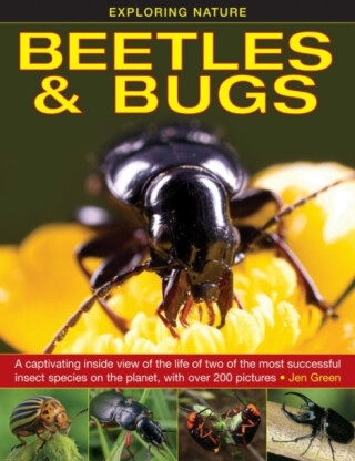 Exploring Nature: Beetles & Bugs - Jen Greenová