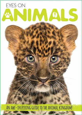 Eyes On Animals - Courtney Acampora