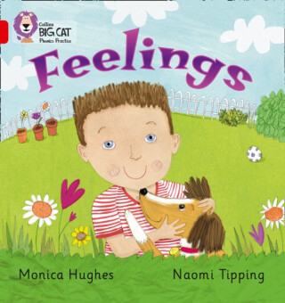 BIG CAT PHONICS - FEELINGS - Monica Hughes