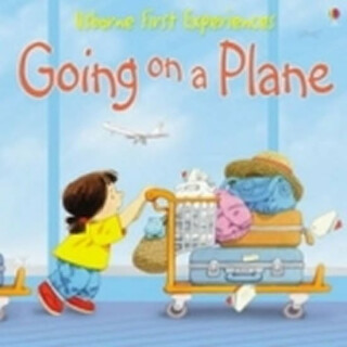 First Experiences: Going on a Plane Mini Edition - Anne Civardiová,Civardi Anne