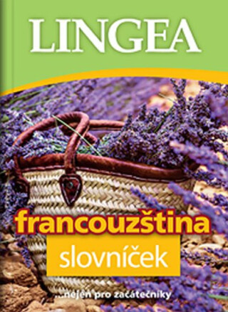 Francouzština - slovníček - kolektiv autorů