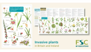 Guide to the non-native invasive plants of Britain and Ireland - Rebecca Farley-Brown