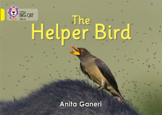 BIG CAT - HELPER BIRD - Anita Ganeriová