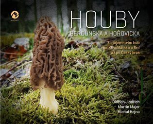 Houby Berounska a Hořovicka - Martin Majer,Michal Hejna,Oldřich Jindřich