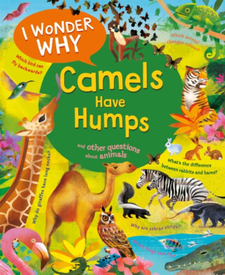 I Wonder Why Camels Have Humps - Anita Ganeriová