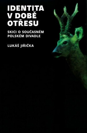 Identita v době otřesu - Lukáš Jiřička
