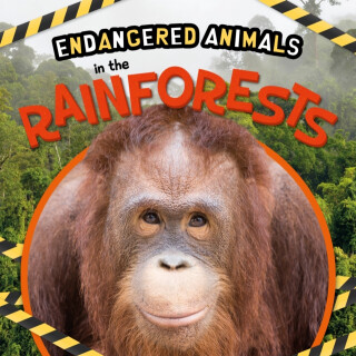In the Rainforests - Emilie Dufresne