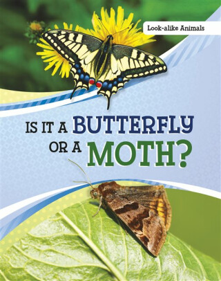 Is It a Butterfly or a Moth? - Susan B. Katz