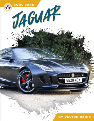 Jaguar - Dalton Rains