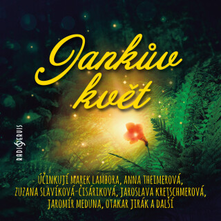 Jankův květ - 