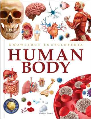 Knowledge Encyclopedia - Wonder House Books