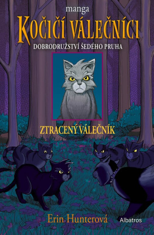 Kočičí válečníci: Dobrodružství Šedého pruha (1) - Ztracený válečník - Erin Hunterová