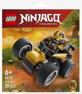 LEGO® Recruitment bags 30723 Cole a jeho nindžovské auto - 