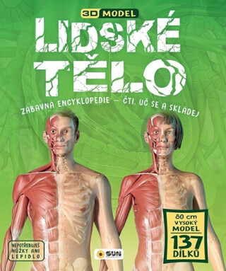Lidské tělo - 3D model (poškozené) - neuveden