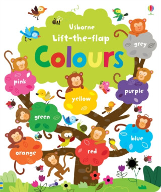 Lift the Flap Colours Book - Felicity Brooks