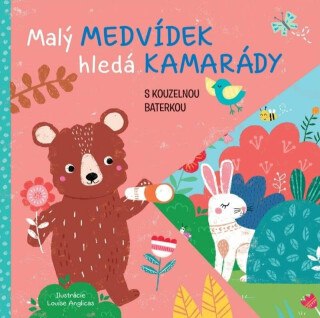 Malý medvídek hledá kamarády s kouzelnou baterkou - Sam McBratney