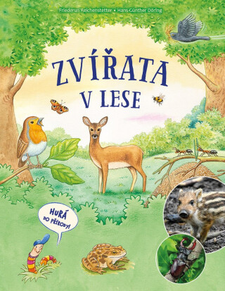Zvířata v lese - Reichenstetter Friederun