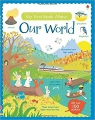 My First Book About Our World - Felicity Brooks