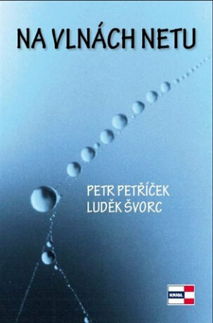 Na vlnách netu - Petr Petříček,Luděk Švorc