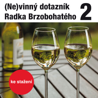 (Ne)vinný dotazník Radka Brzobohatého 2. - 