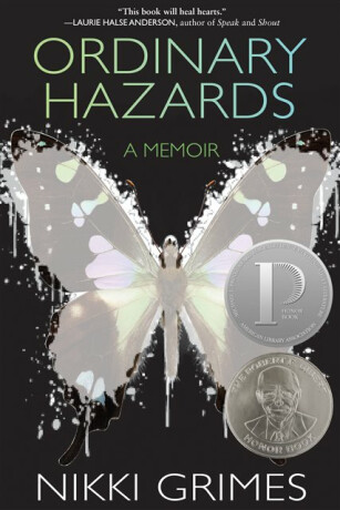 Ordinary Hazards - Nikki Grimes