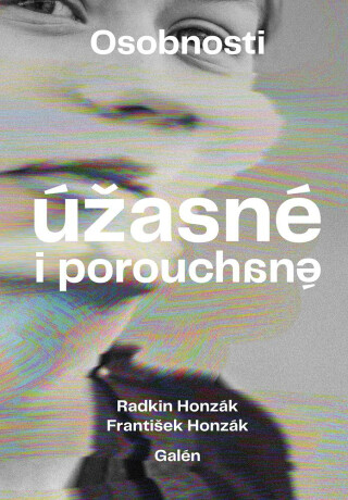 Osobnosti úžasné i porouchané - Radkin Honzák,František Honzák