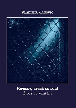 Paprsky, které se lomí. - Vladimír Janovic