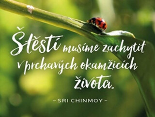 Plechová cedulka - Štěstí musíme zachytit (poškozené) - Sri Chinmoy