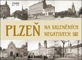 Plzeň na skleněných negativech (poškozená) - Petr Mazný,Tomáš Bernhardt