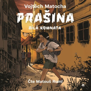 Prašina
