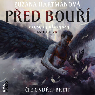 Před bouří - Zuzana Hartmanová