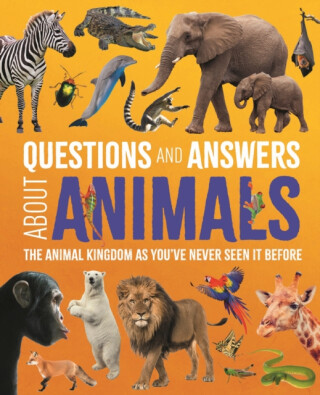 Questions and Answers About Animals - Dr Meriel Lland,Dr Michael Leach,Felicity Forster
