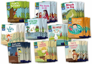 Read Write Inc. Phonics Book Bag Books: Yellow Set 5 Book Bag Books (Pack of 100) - Alison Hawes,Adrian Bradbury,Karra McFarlane