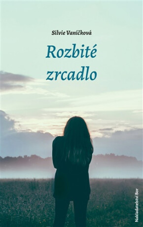 Rozbité zrcadlo - Silvie Vaníčková