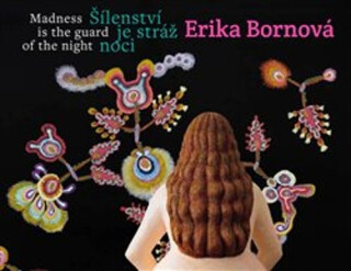 Erika Bornová - Šílenství je stráž noci - Martina Pachmanová,Otto M. Urban,Erika Bornová
