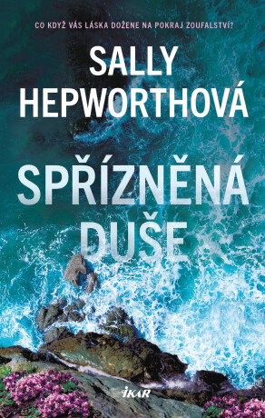 Spřízněná duše - Sally Hepworth