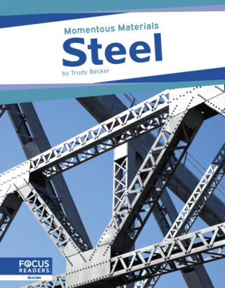 Steel - Trudy Becker