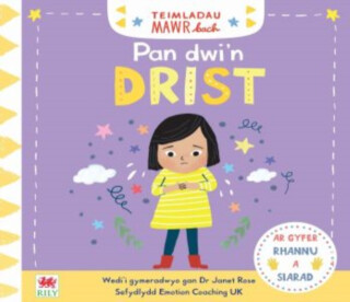 Teimladau Mawr Bach: Pan Dwi''n Drist - Campbell Books,Dr Janes Rose