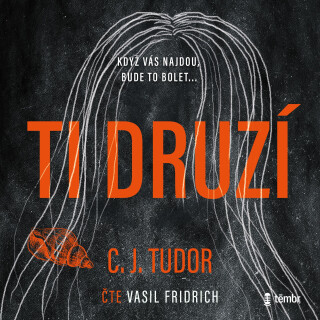Ti druzí - C. J. Tudorová